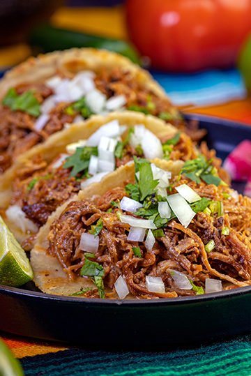Easy Summertime Carnitas